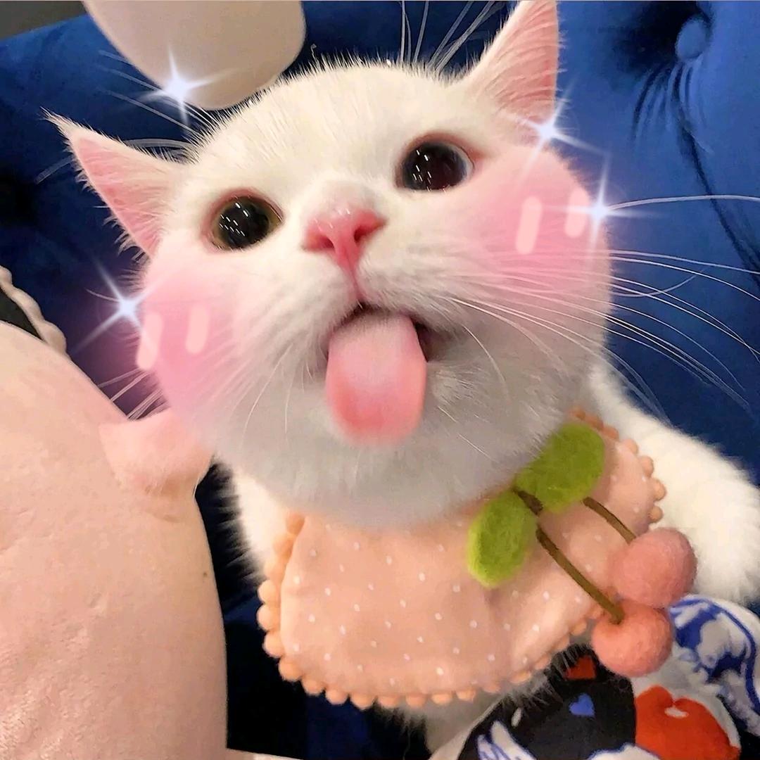 两口甜嗷