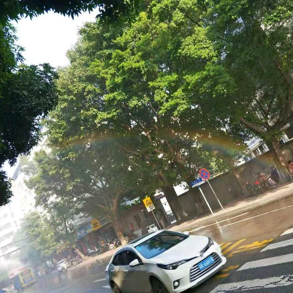 阿彬