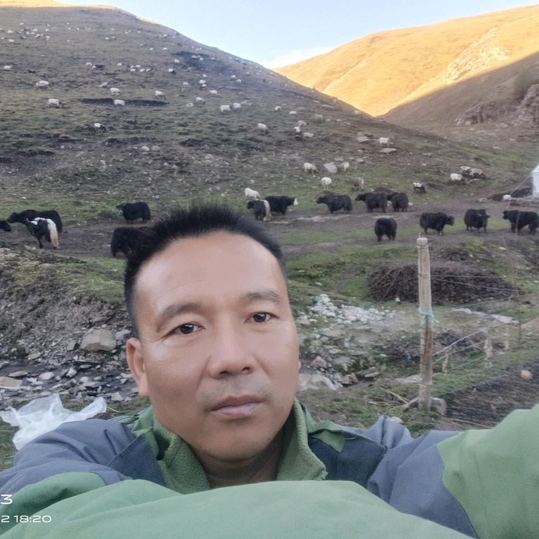 老马家生鲜牛羊肉店相约2028