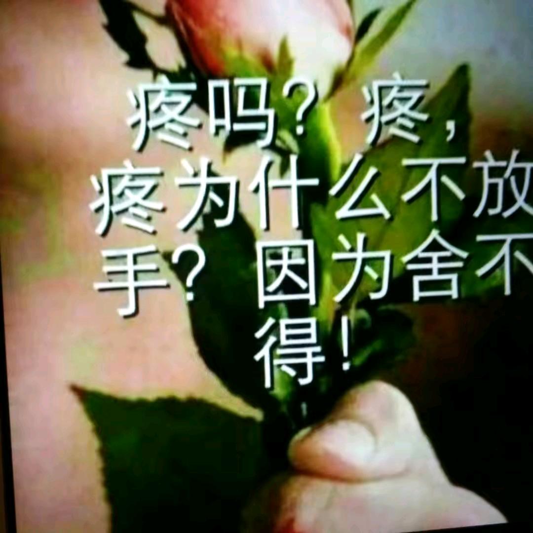 为我停留为你守候