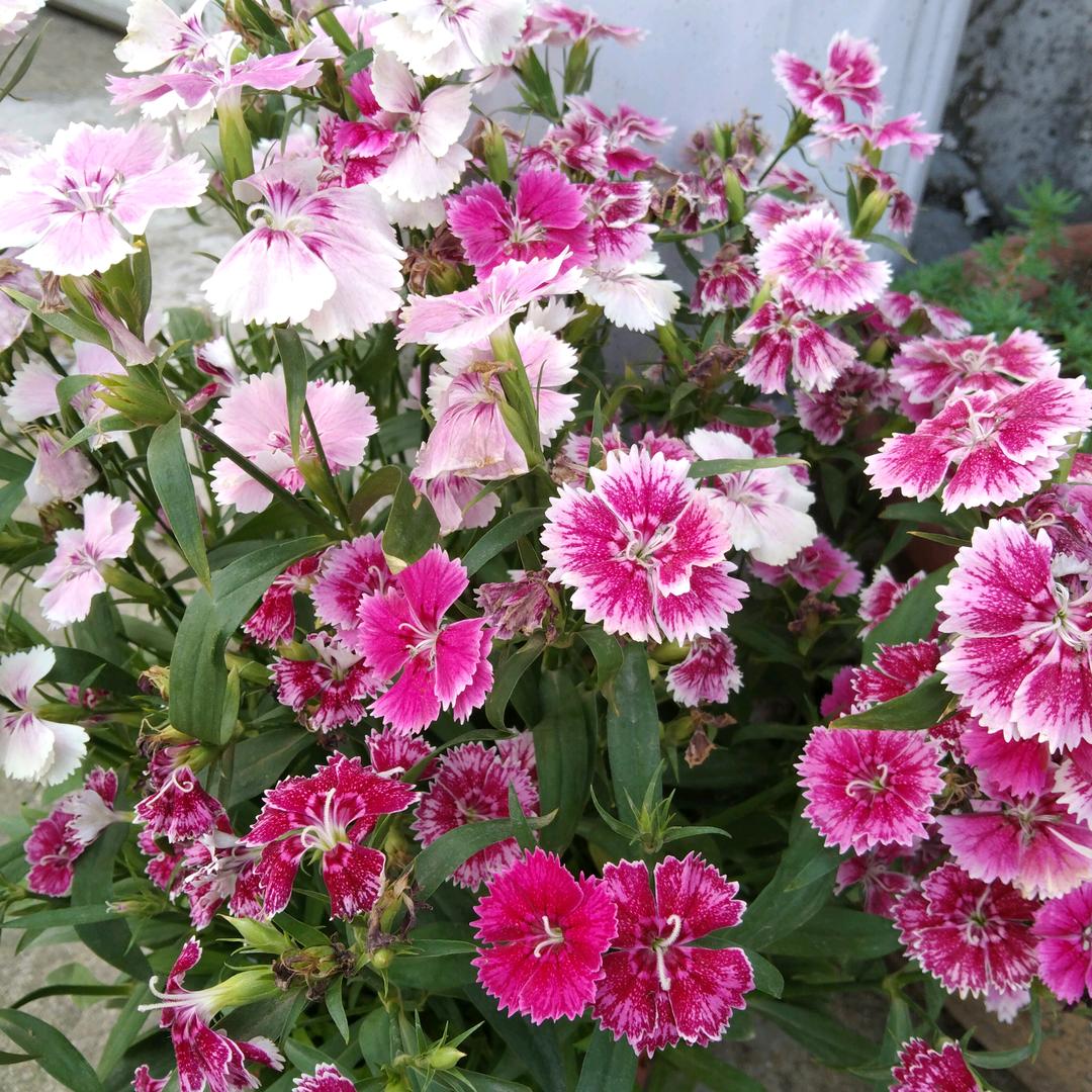 悠然