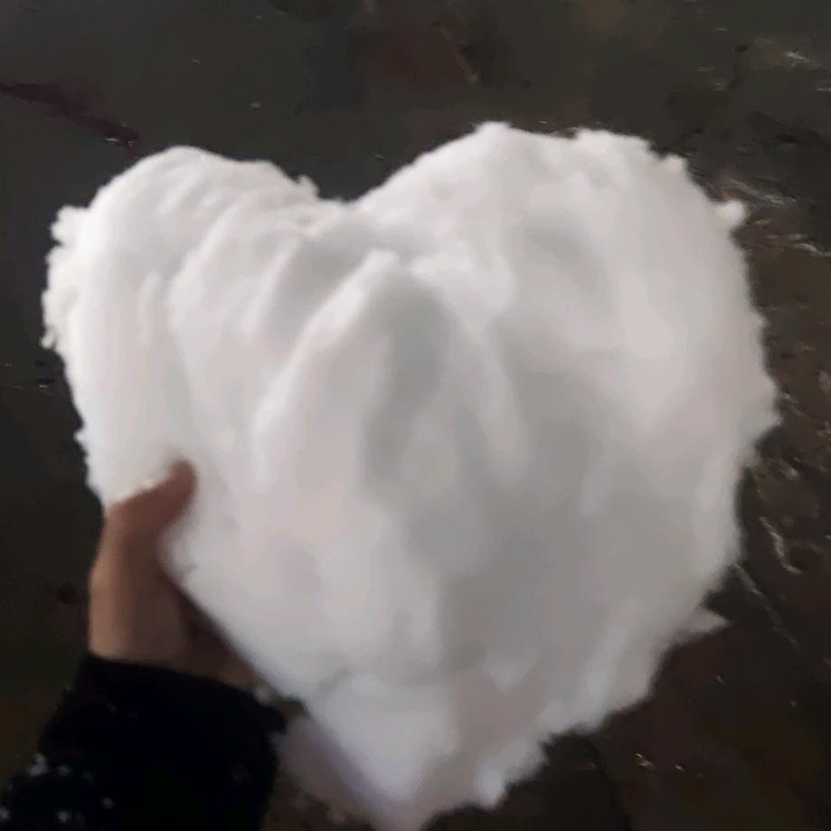 超级短腿病原菌