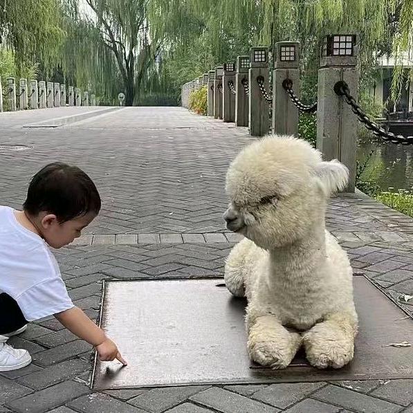 迪迦的粑粑