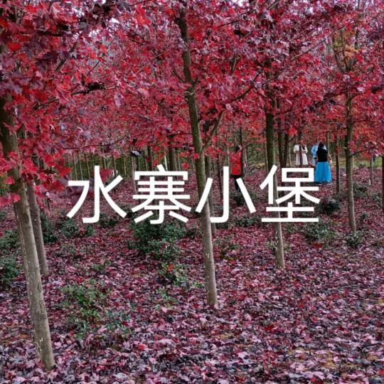 笑一笑