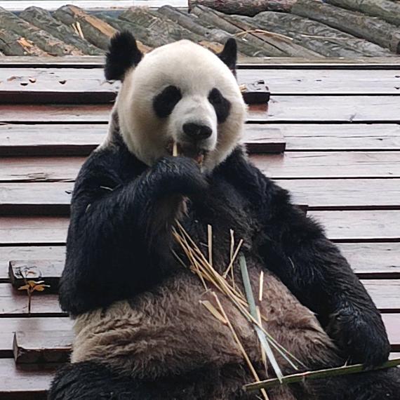 宝宝我爱你哦头像