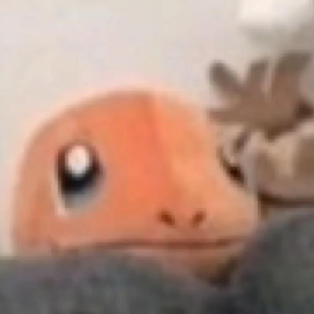嫉妒的小火龙