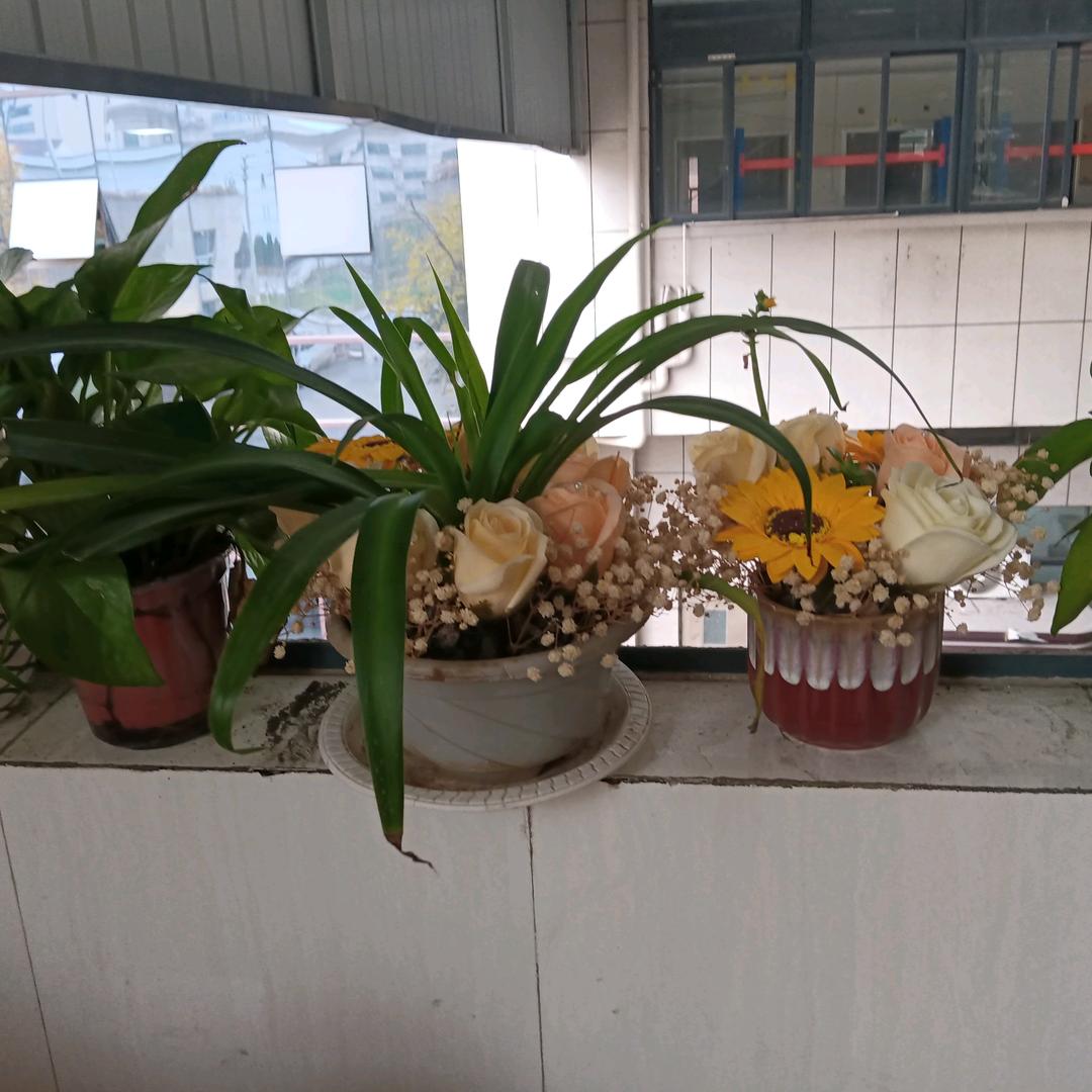 风雨无阻。