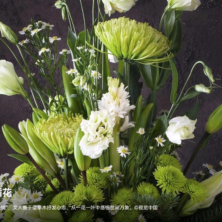 邓哥