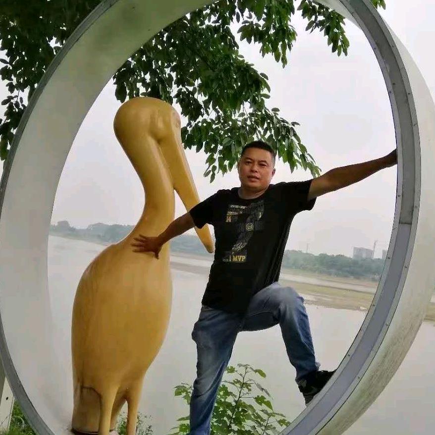 自由飞翔
