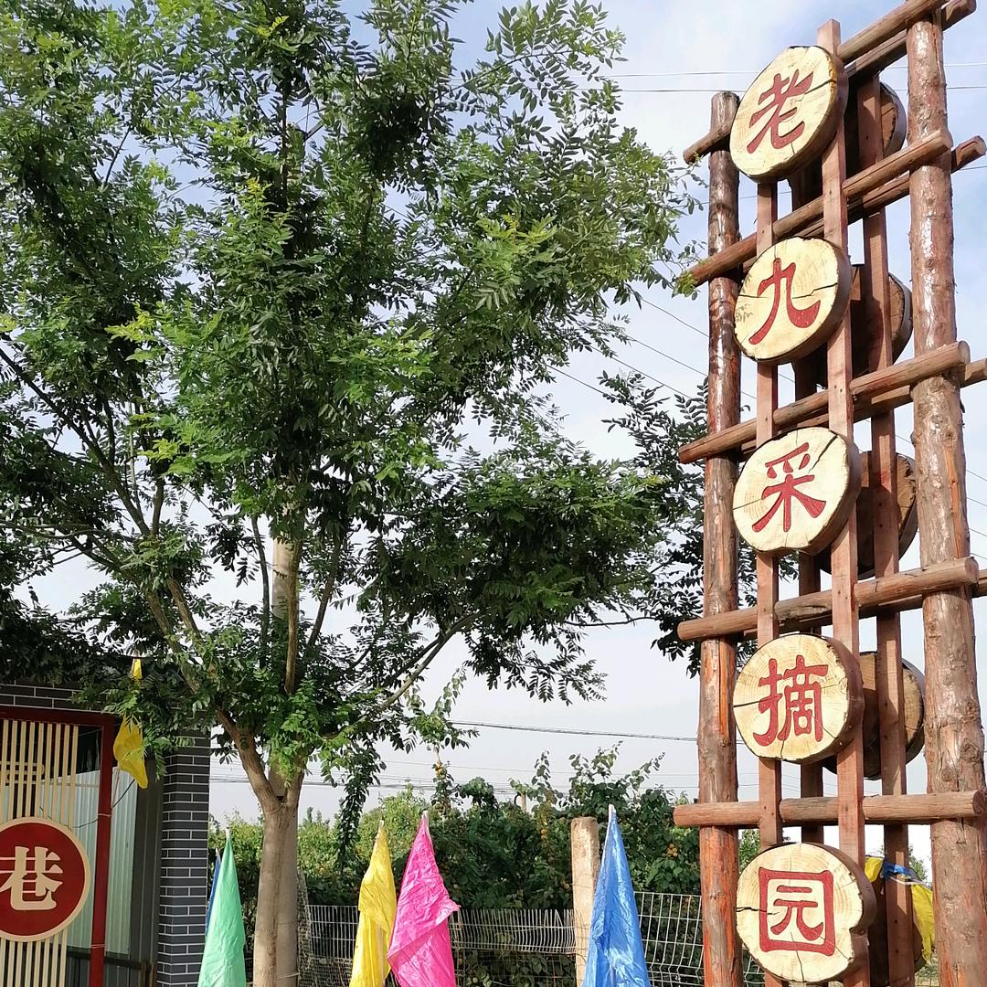 商河九哥