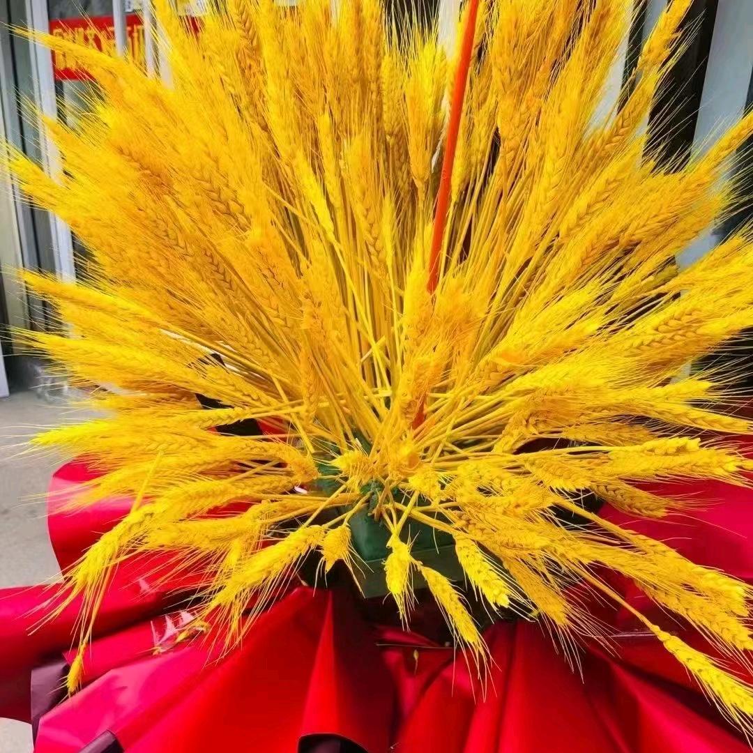 最美荣成推荐官小肖💋💋