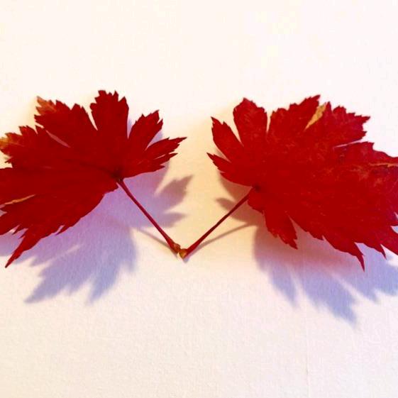 👑思❤️念🍁🍁