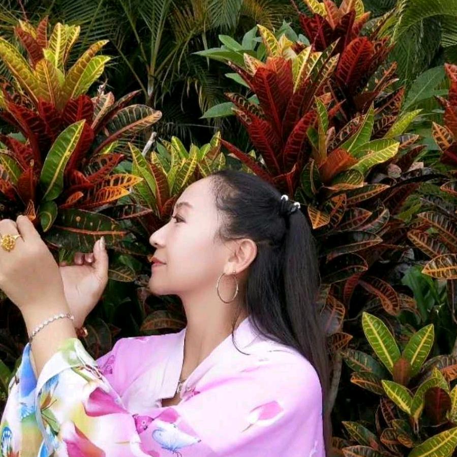 清香茉莉