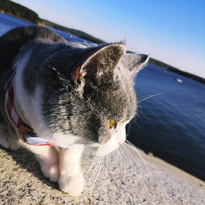 YO要hi要