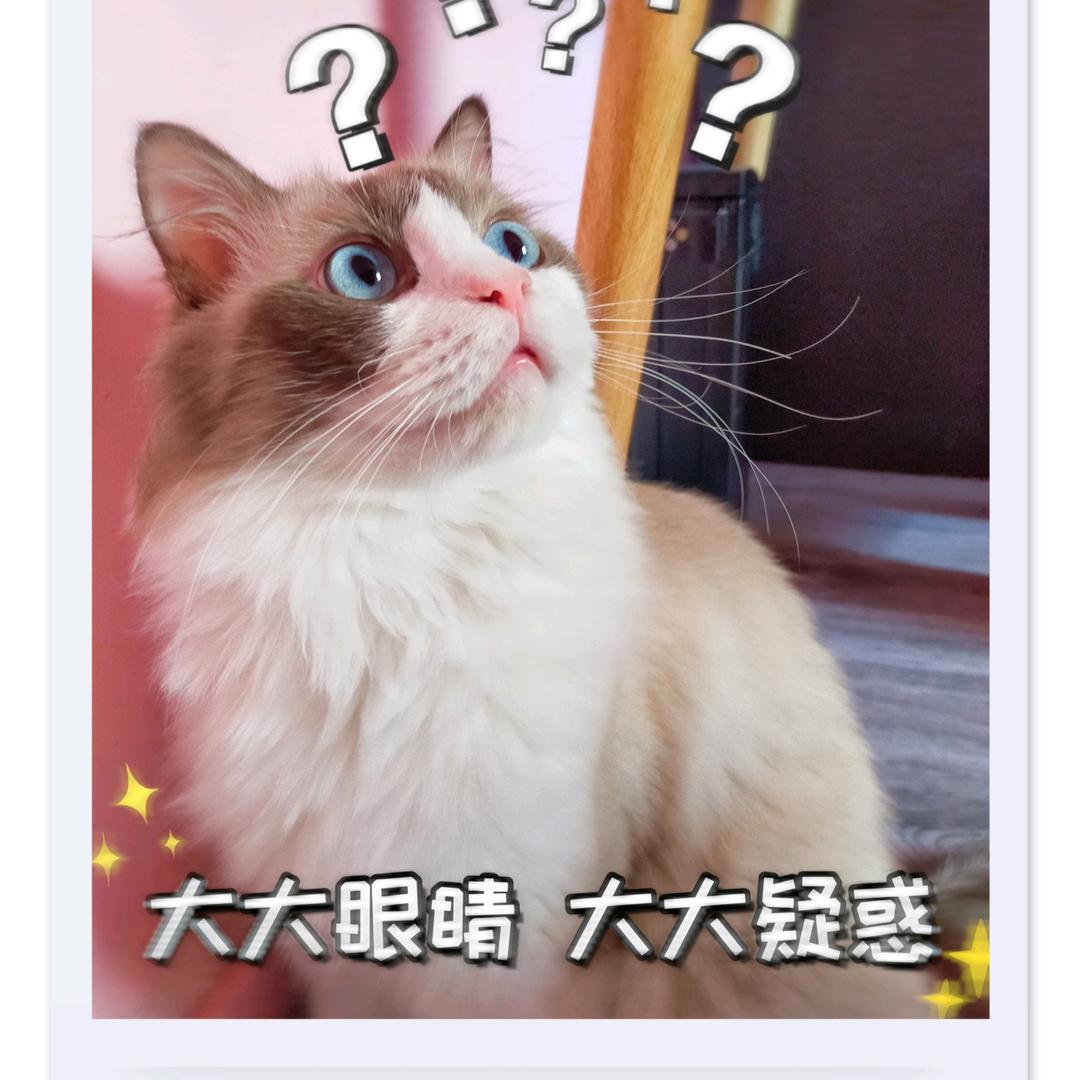 李晓其