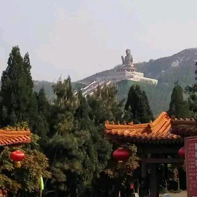 🌹天高任鸟飞，海阔任鱼游！🌹