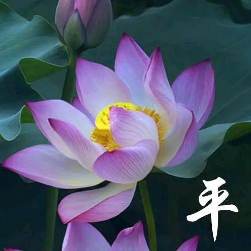 时光