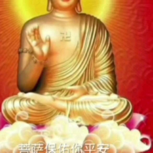 金泽