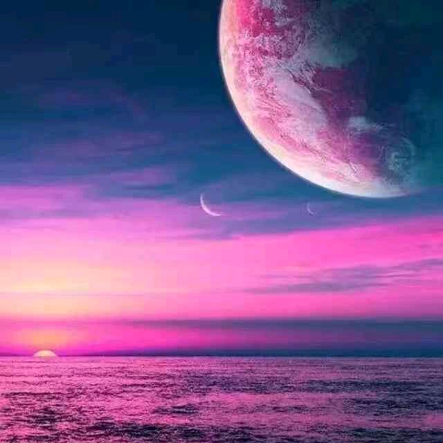 金生丽水