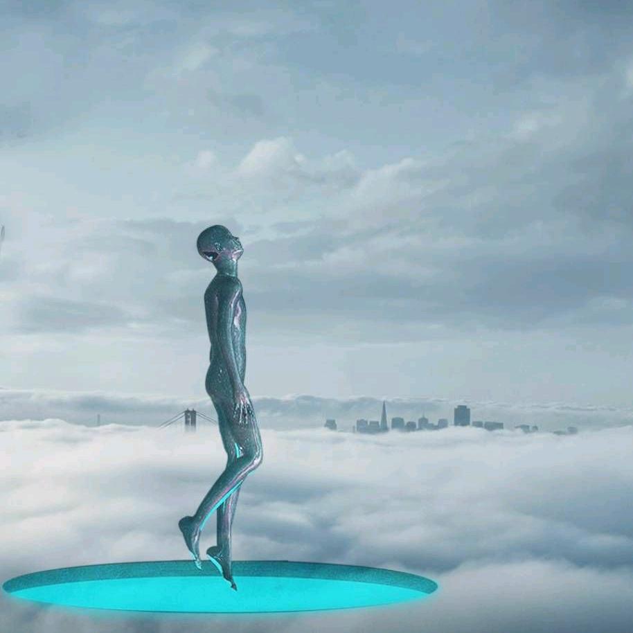 扣扣农场丶阿达