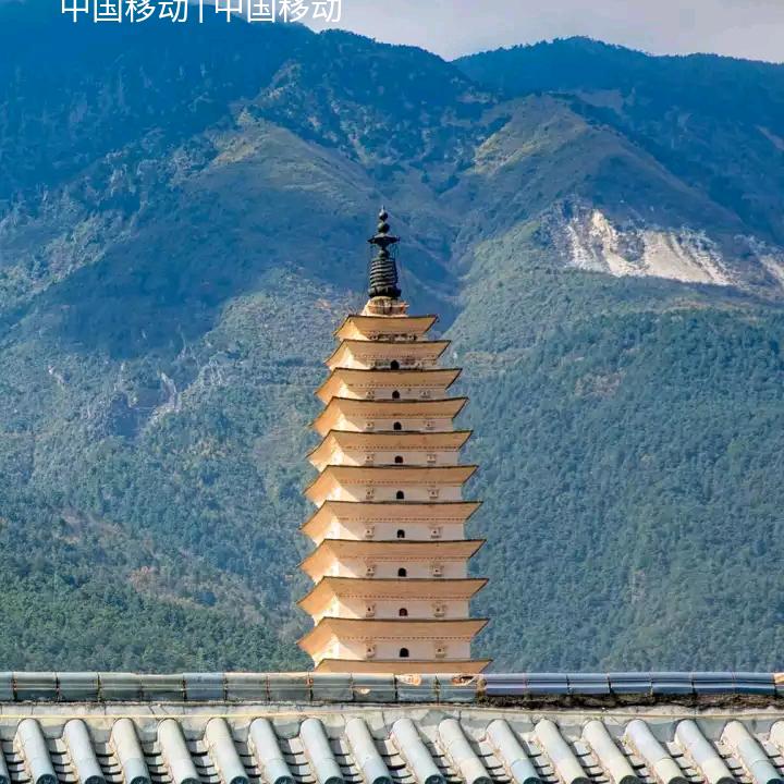 健康就好