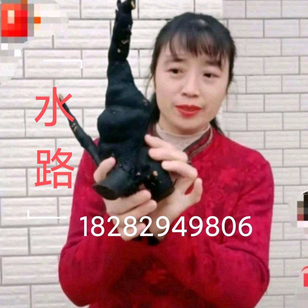 秀英弹子盆景素材