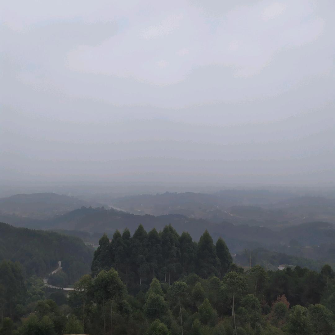 桂-