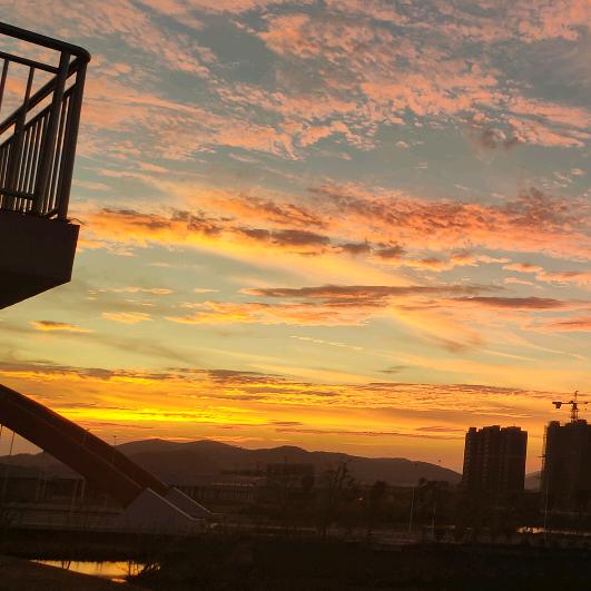 车天下汽车电子