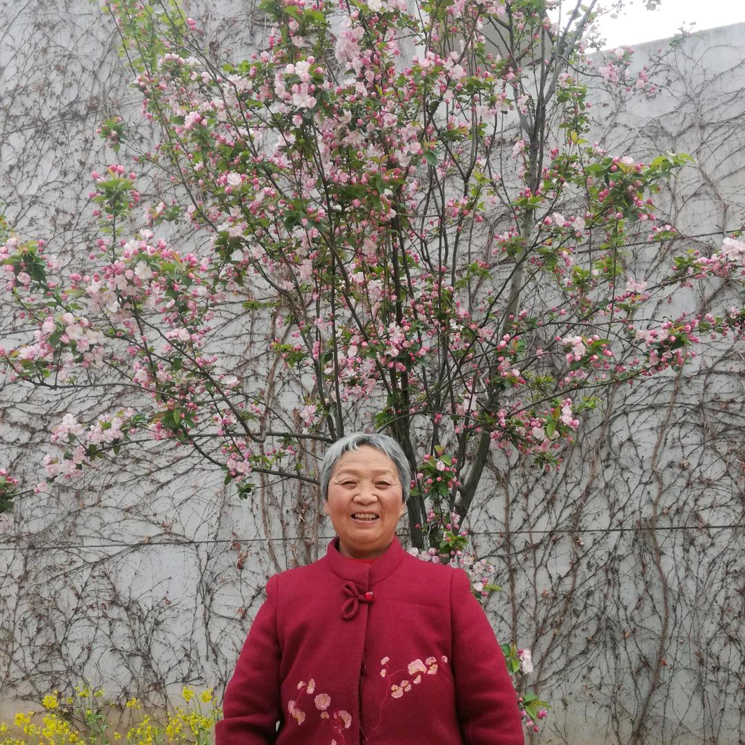 陈景