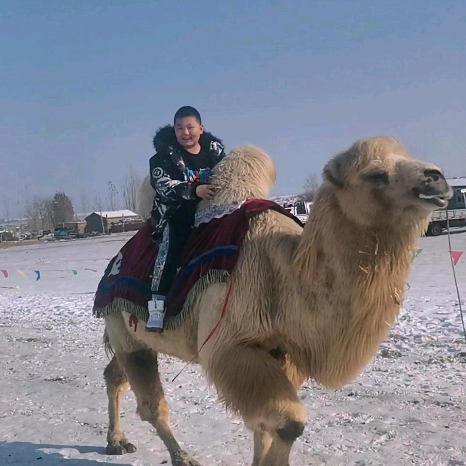 渔夫哥