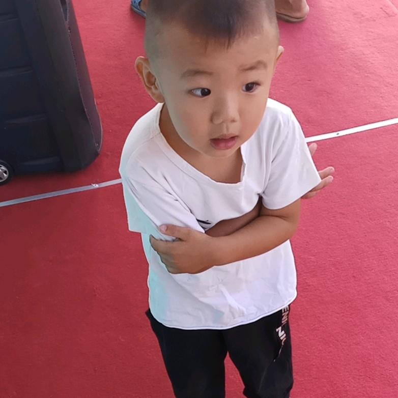 岁月无波澜