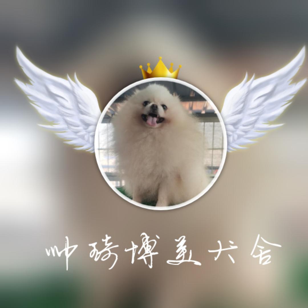 帅琦犬舍