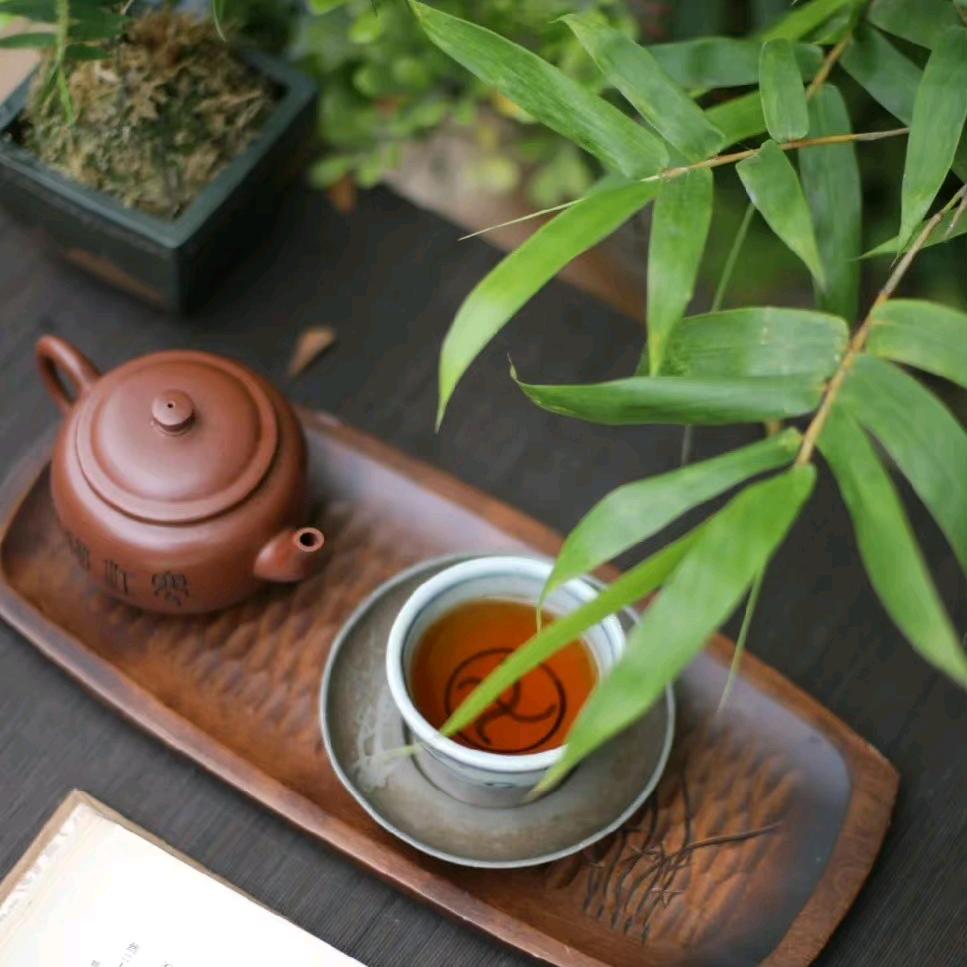 茶茶爱吃瓜🍉