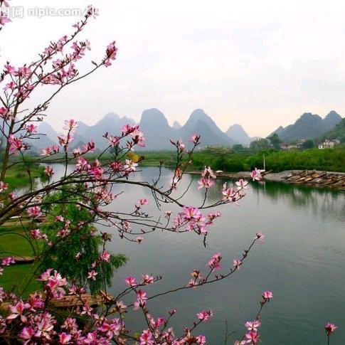 风是甜的，心是亮的，生活永远开心幸福滴，