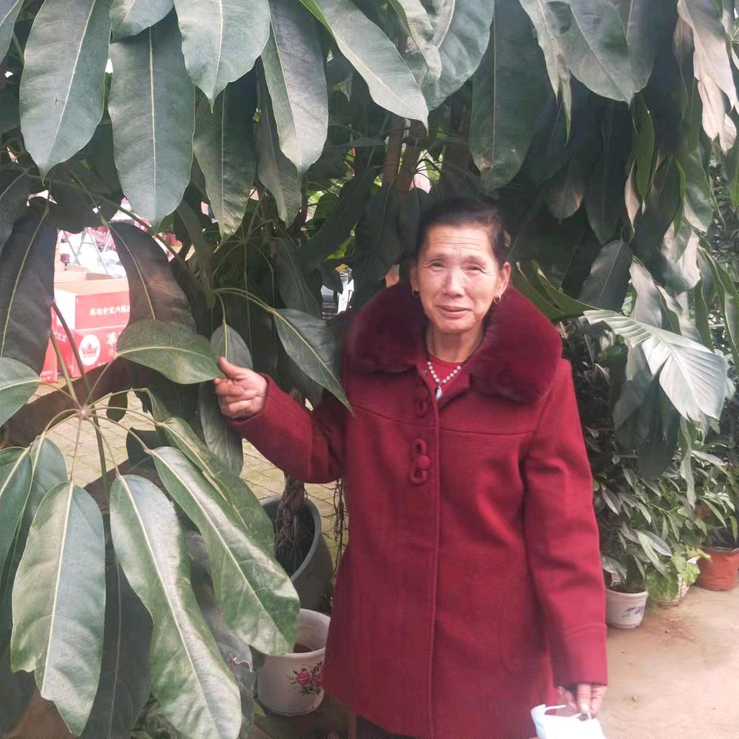 快乐老常