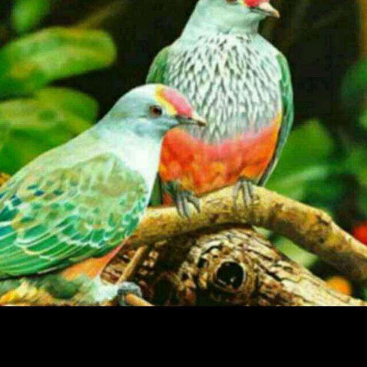 生在陕H，情系陕E，青春献给了新G