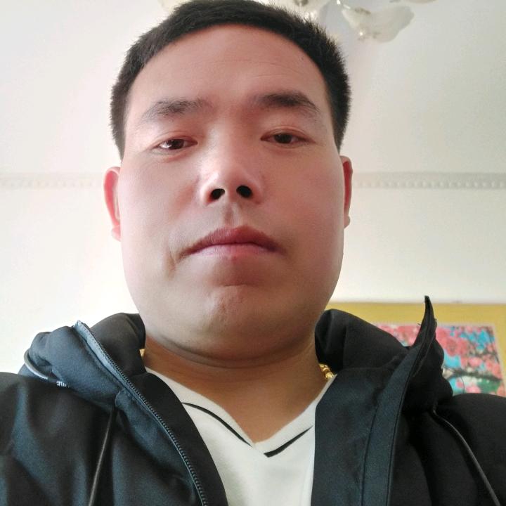 小密蜂