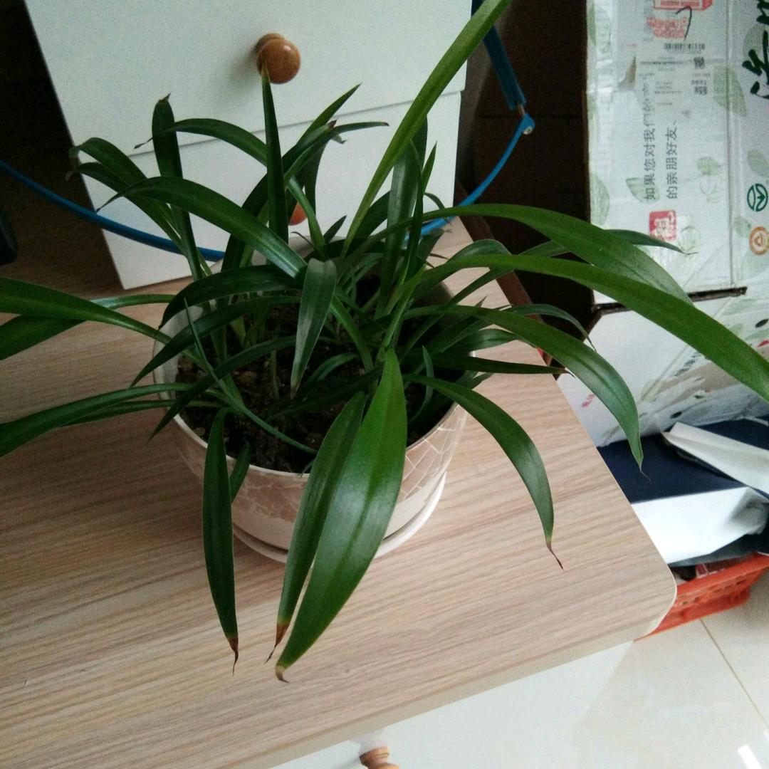 往事随风而去