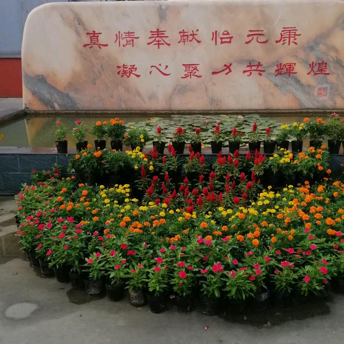 知足常乐