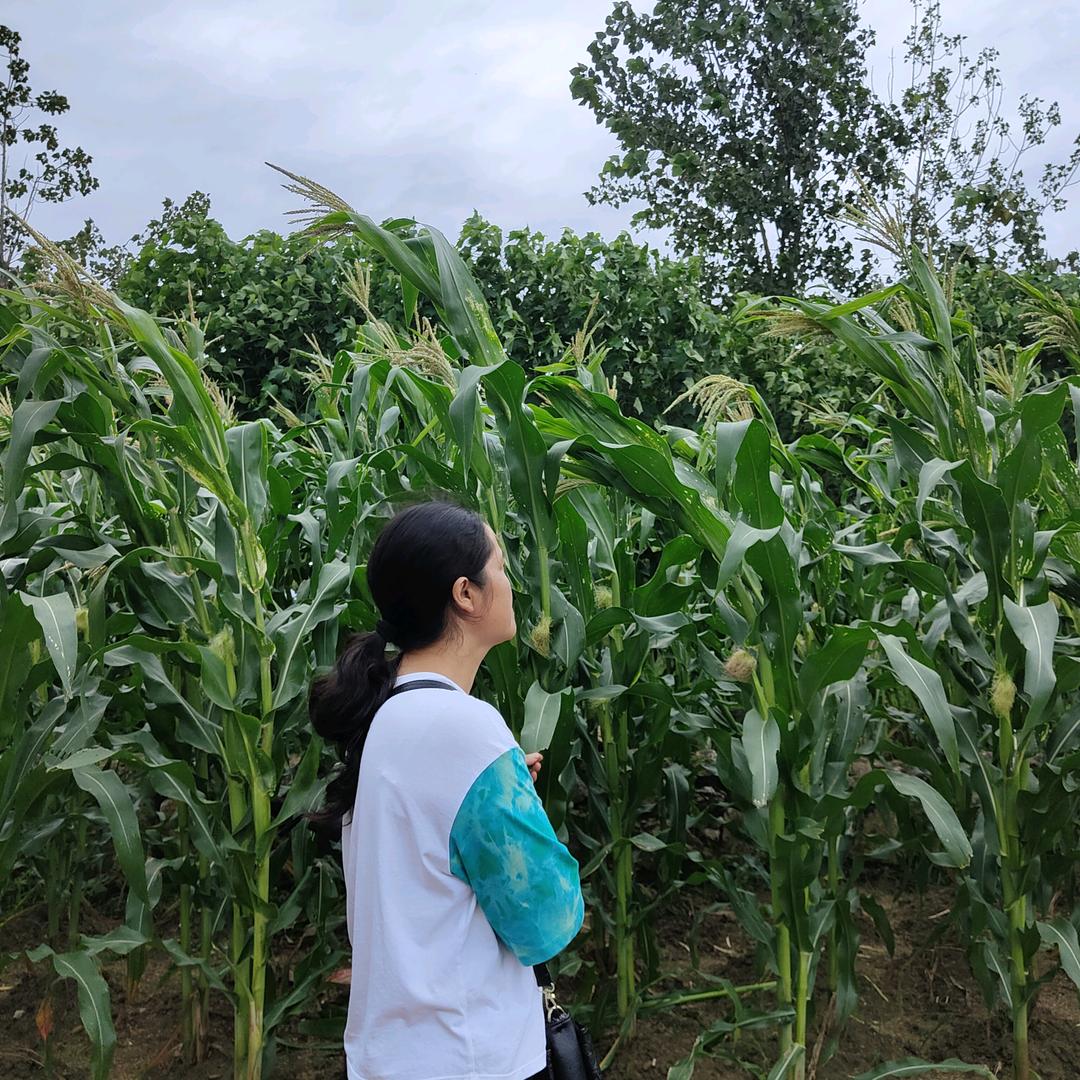 农村兰姐