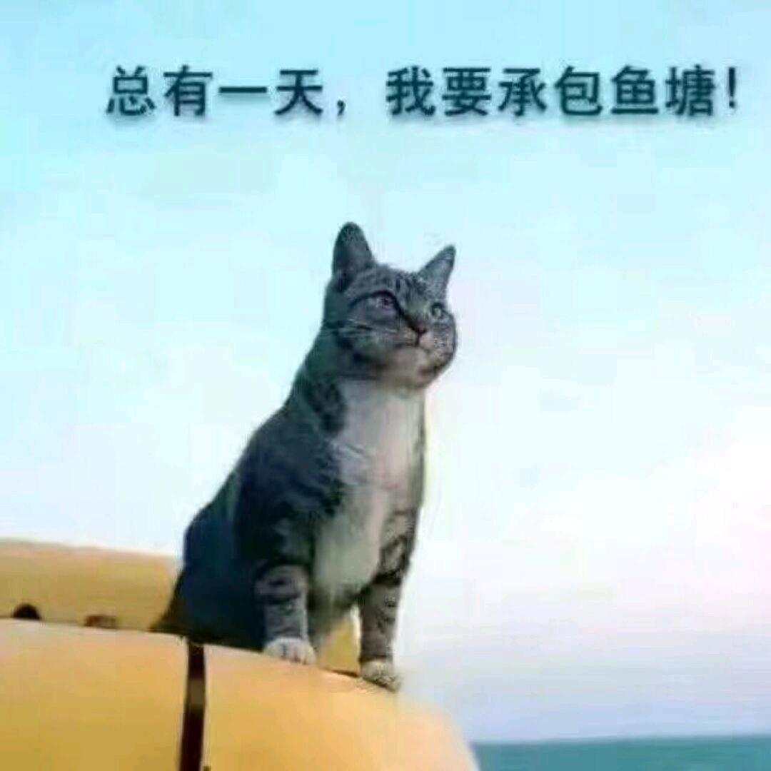 肖潇萧