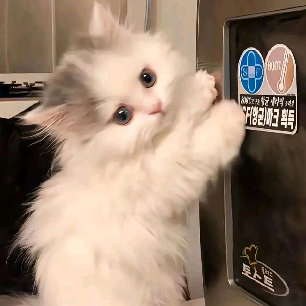 攒了一口袋星星
