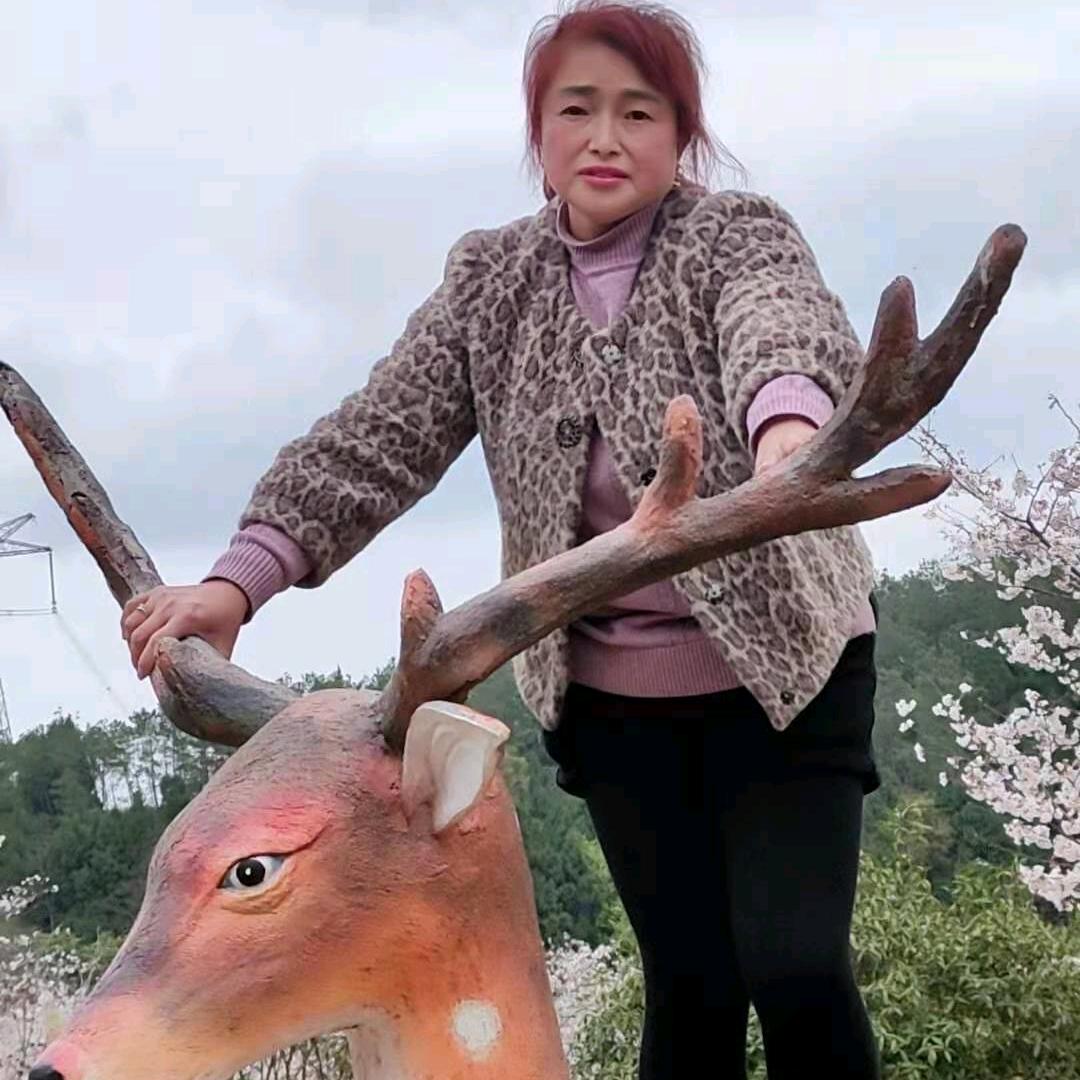 梅兰花开