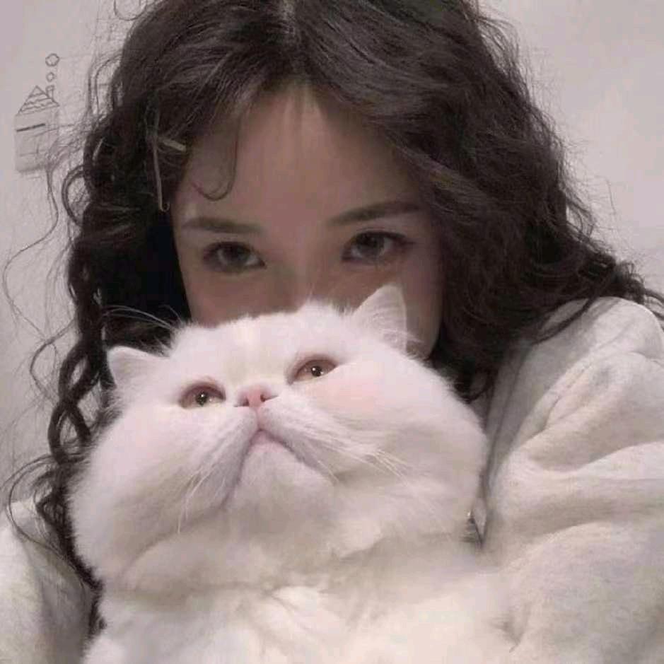 金金游戏