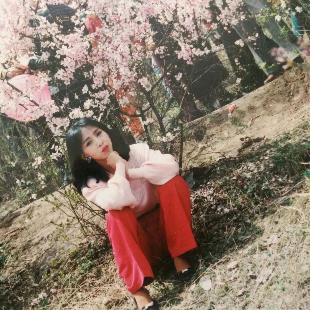 清柳《全场一元》