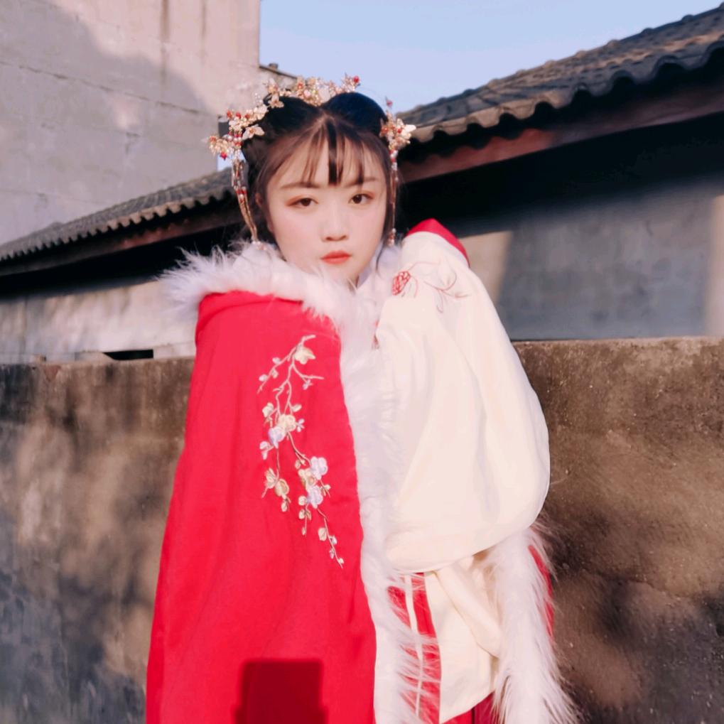 段绪林