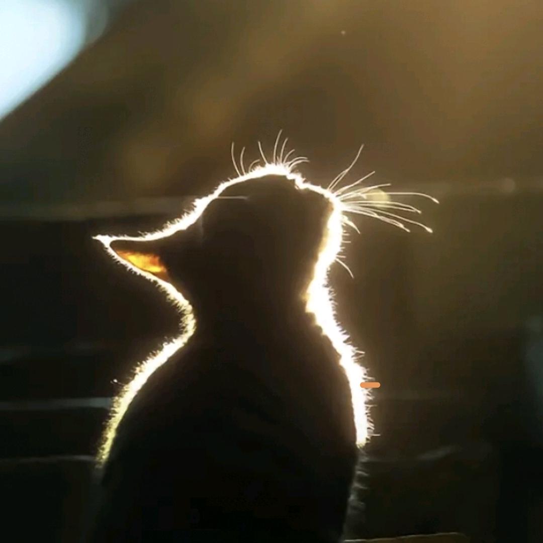 简J(•̀㉨•́)单d