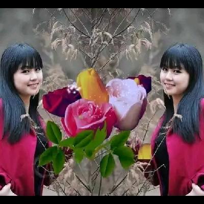 我真是个笨蛋