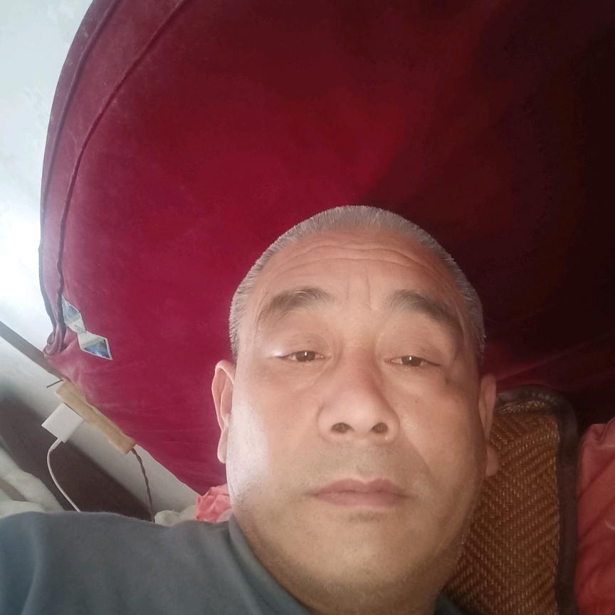 任太力
