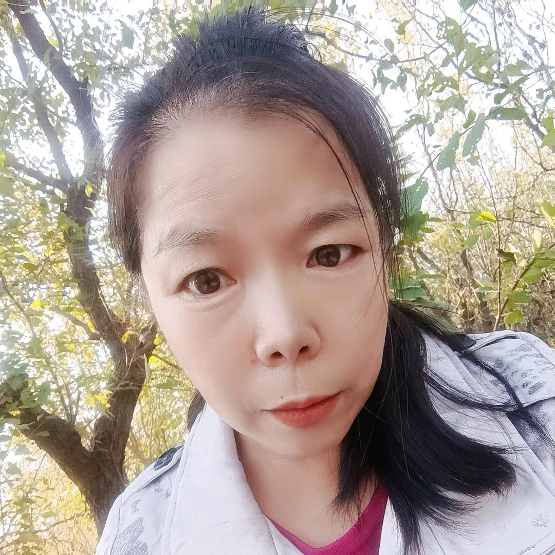 辛歌